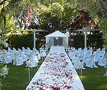 Weddings, corporate events, group holidays